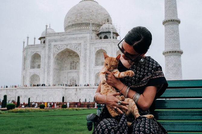 Agra Half-Day Tour of Taj Mahal and Agra Fort by Car - What You’re Really Paying For in This $41 Tour