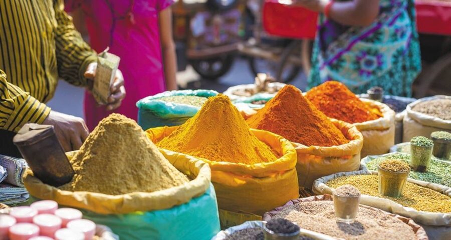 Agra: Indian Food Private Cooking Class - What dishes you can expect (and how to think about the menu)