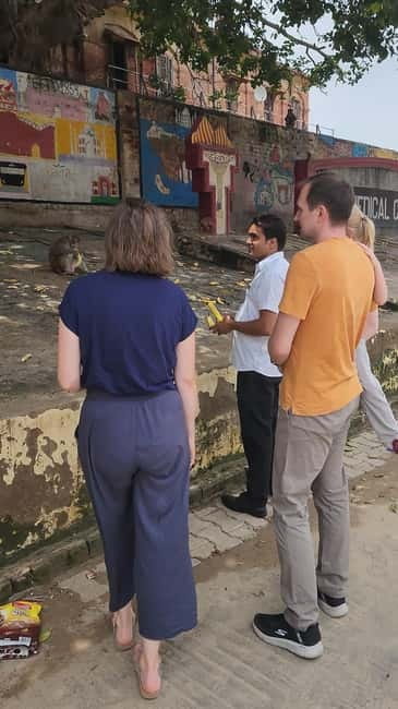 Agra: Monkey Safari Guided Walking Tour - Watching rhesus macaques and langurs like a naturalist (without pretending)