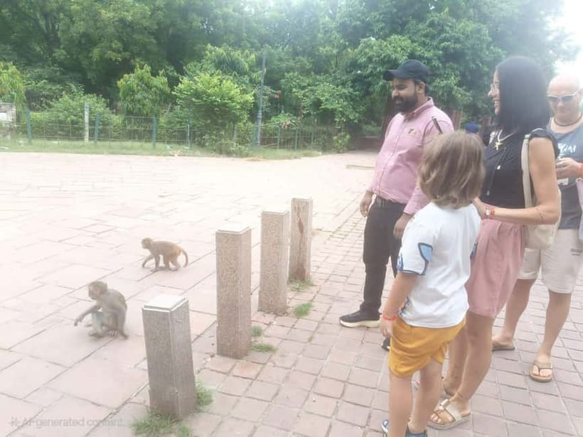 Agra: Monkey Safari Guided Walking Tour - Cultural stories: Hanuman and why monkeys matter here