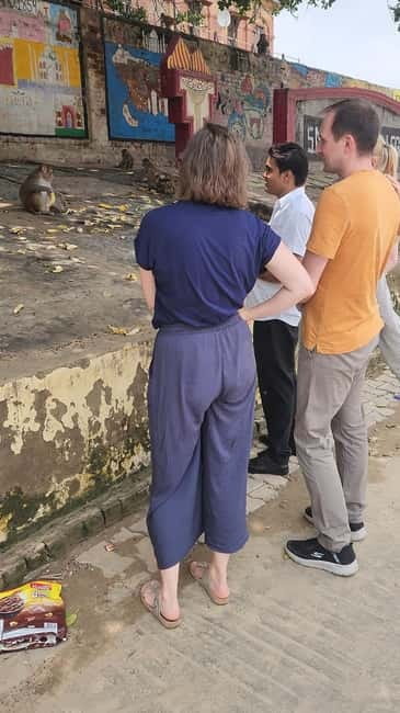 Agra: Monkey Safari Guided Walking Tour - The real value: what $54 gets you (and when it’s worth it)