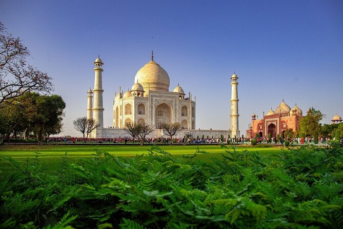 Agra Skip the Line Taj Mahal and Agra Fort Private Tour - Taj Mahal: Shah Jahan’s marble story and what to look for