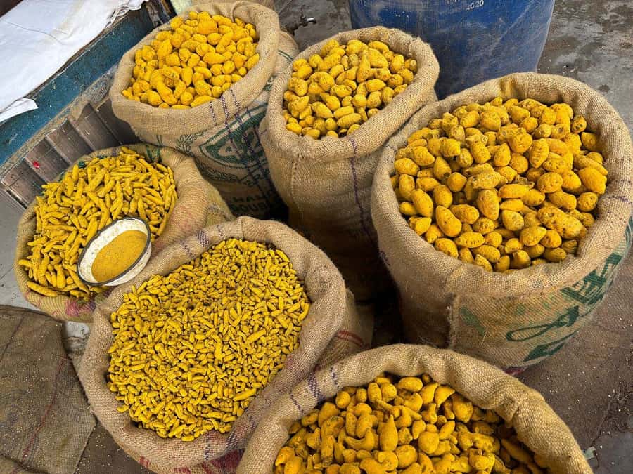 Agra: Street Food Tour with Spice Market on Tuk-Tuk Ride - Price and what $16 buys you in Agra time
