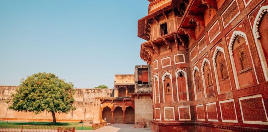 Agra: Taj Mahal Sunrise & Agra Fort Full Day City Tour - Air-conditioned transport and smooth coordination for a long day
