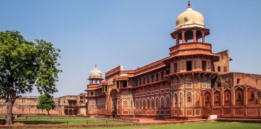 Agra: Taj Mahal Sunrise & Agra Fort Full Day City Tour - Should you book this Taj Mahal Sunrise & Agra Fort tour?