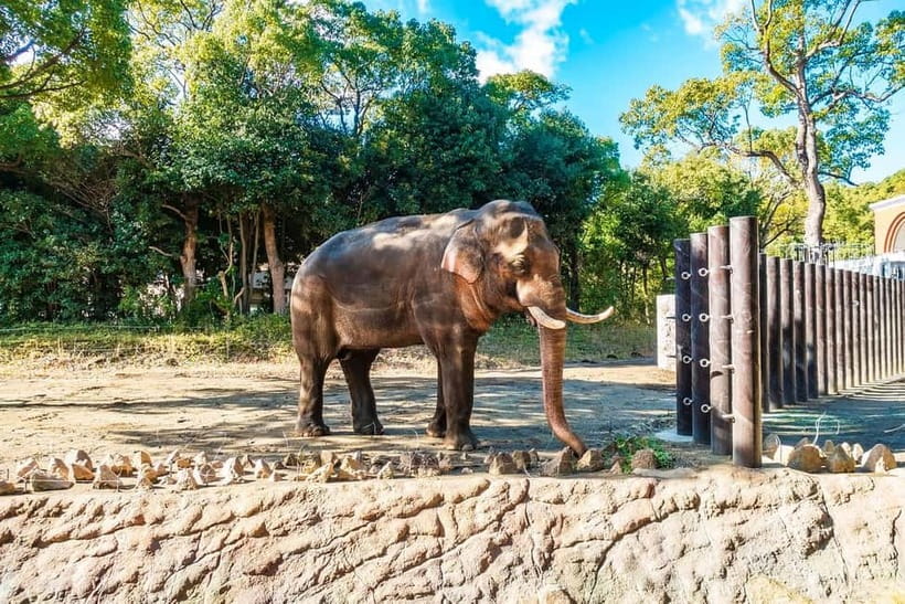 Agra: Taj Mahal Sunrise Tour with Elephant Sanctuary - Price and value: how this works for your budget