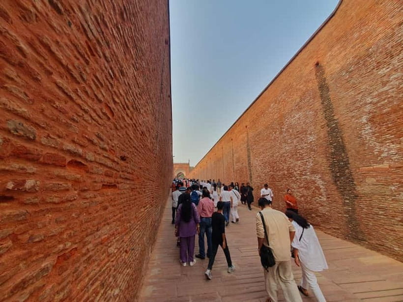 Delhi: Sunrise Taj Mahal & Elephant SOS Tour with Transfers - Who this tour is best for (and who may feel stressed)