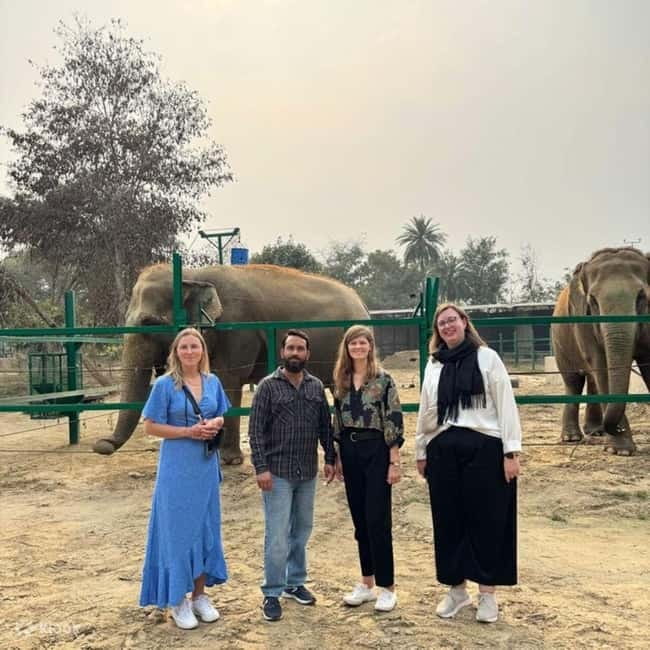 Delhi: Sunrise Taj Mahal & Elephant SOS Tour with Transfers - Sunrise Taj Mahal with a separate entrance (and a real plan)