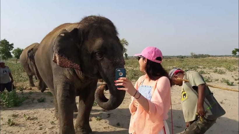 Delhi: Sunrise Taj Mahal & Elephant SOS Tour with Transfers - Guides, small details, and how to get the best day
