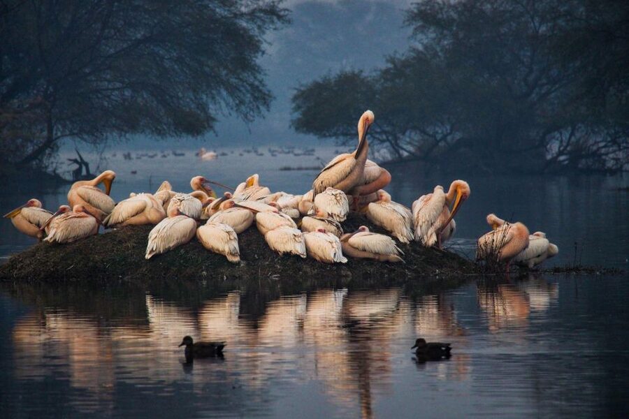 From Agra: Taj Mahal, Fatehpur Sikri & Bird Safari Tour - Good to know before you go: shoes, IDs, and no drones