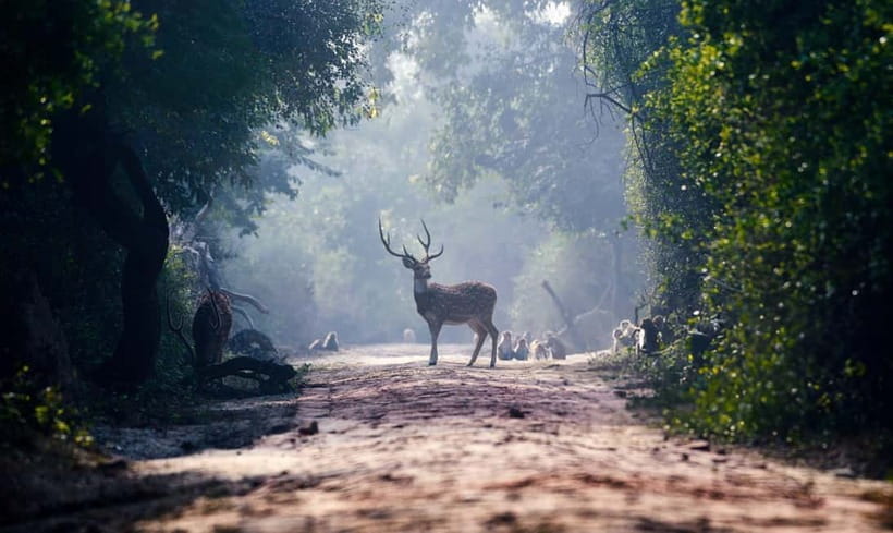 From Agra: Taj Mahal, Fatehpur Sikri & Bird Safari Tour - Fatehpur Sikri: the Mughal capital you can feel in your feet
