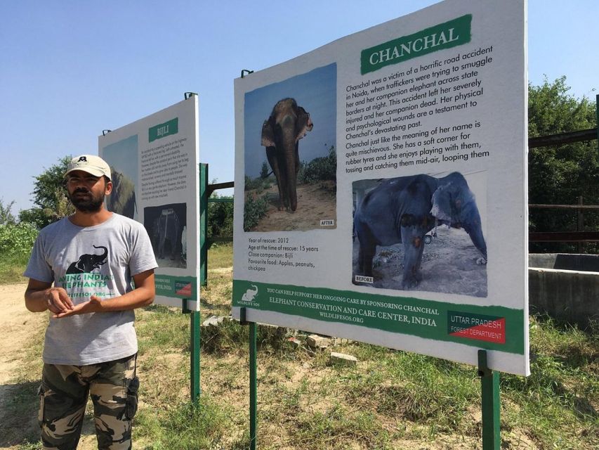 From Agra: Visit to Wildlife SOS Elephant Conservation Trip - Elephants With Dignity: What Makes Wildlife SOS Special