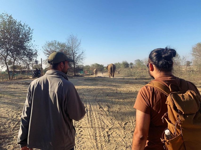From Agra: Visit to Wildlife SOS Elephant Conservation Trip - Who This Trip Fits Best in Your Agra Itinerary