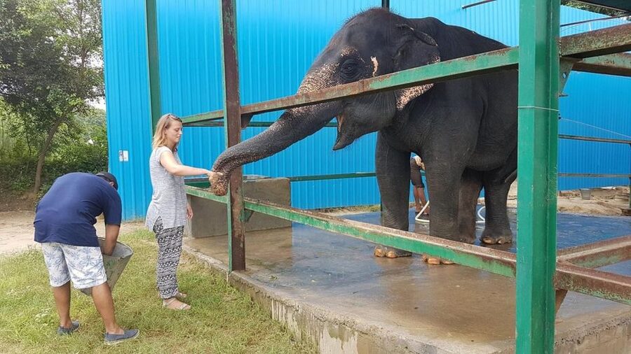 From Agra: Visit to Wildlife SOS Elephant Conservation Trip - Should You Book the Wildlife SOS Elephant Conservation Trip from Agra?