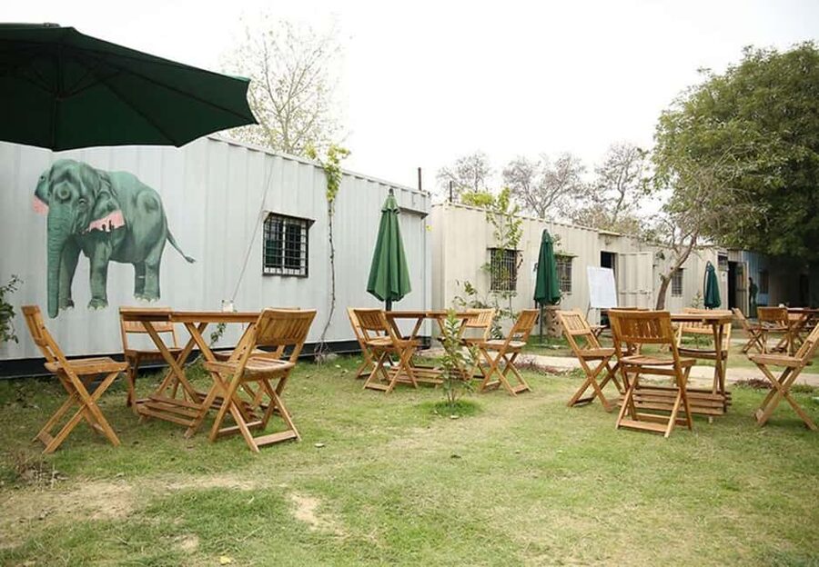 From Delhi : Elephant Conservation and Care Centre -Wildlife - Price and value: what $109 covers (and what it doesn’t)