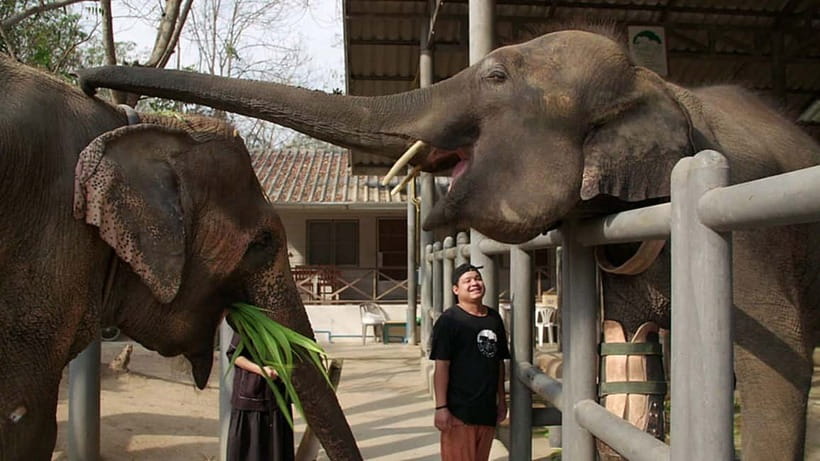 From Delhi: Taj Mahal Sunrise and Elephant Conservation Tour - Taj Mahal sunrise timing that actually pays off