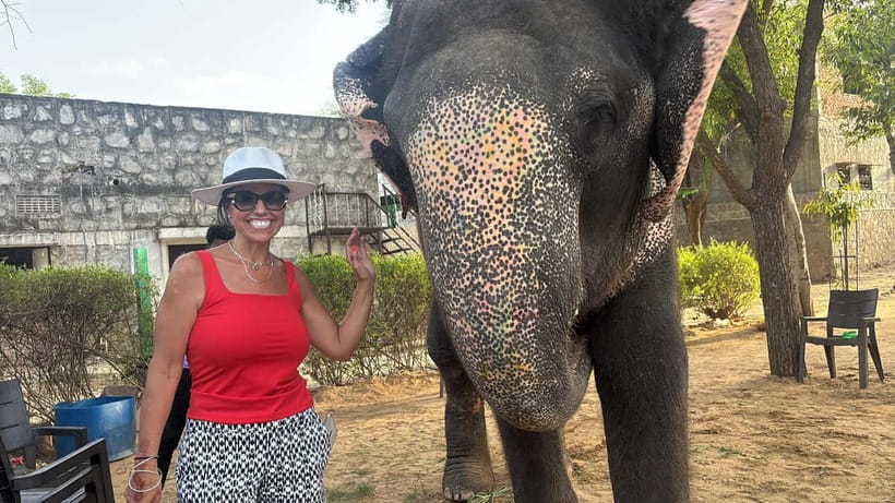 From Delhi: Taj Mahal Sunrise and Elephant Conservation Tour - Inside the Taj Mahal: what your guide will help you notice
