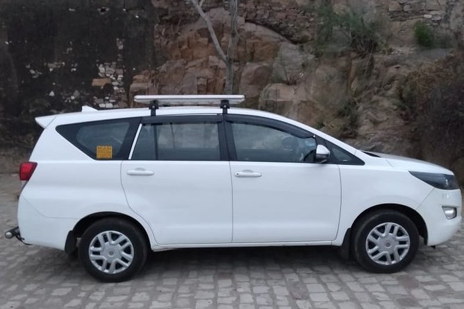 Half-Day Private Sightseeing tour to Wildlife SOS from Agra - Private A/C transfers and a schedule that doesn’t waste your time