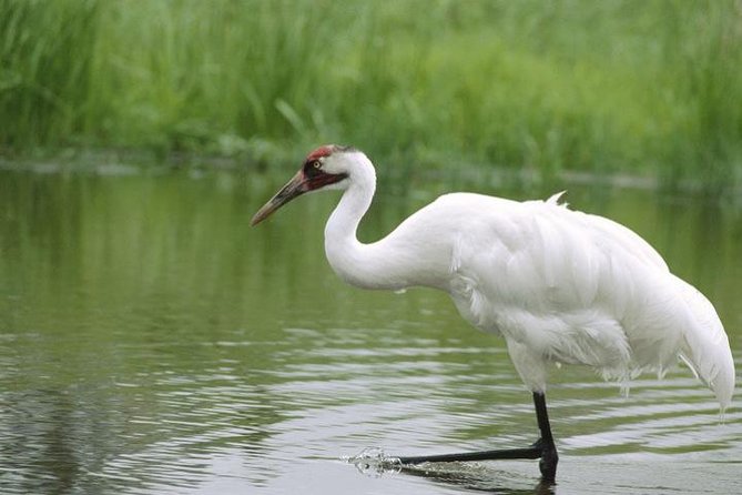 Private Day-Trip to Bharatpur Bird Sanctuary from Agra - Key Highlights You’ll Actually Feel
