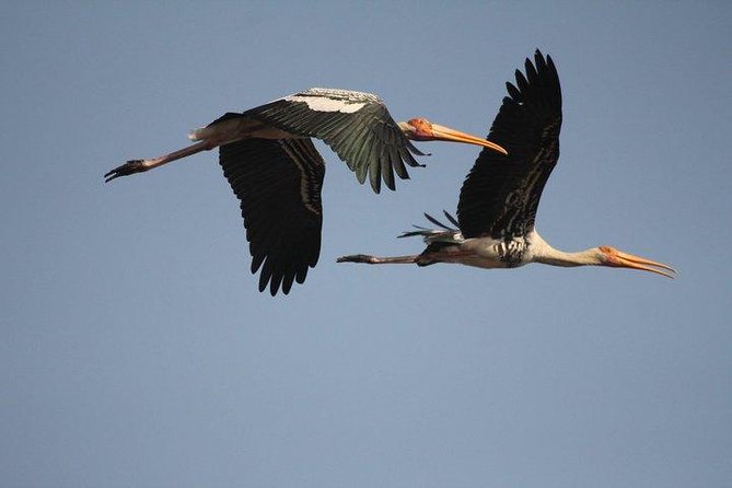 Private Day-Trip to Bharatpur Bird Sanctuary from Agra - Keoladeo from Agra: What Makes This Day Trip Worth It