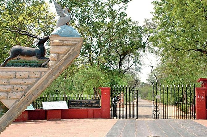 Private Keoladeo National Park Tour sightseeing - All Inclusive - The Manoj Factor: Fast Finding and Better Viewing