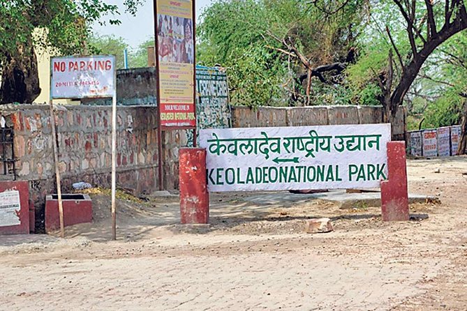 Private Keoladeo National Park Tour sightseeing - All Inclusive - Price and Value: Why $51.03 Can Make Sense