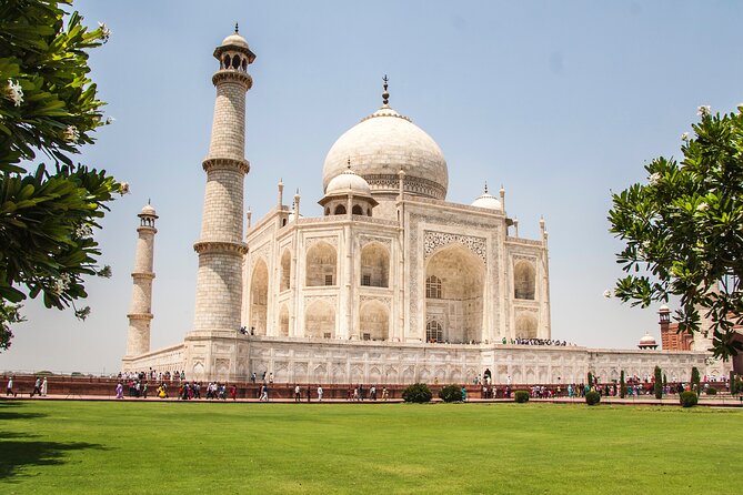 Skip The Line Taj Mahal and Agra fort Tour - Weather and Timing: When the Tour Works Best