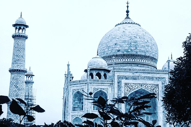 Skip the line with Private Tour Guide for Taj Mahal & Agra Fort - Taj Mahal timing, ticket help, and where to focus your photos