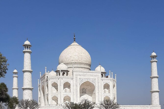 Taj mahal Private Tour with Entry Ticket and Guide - Who this tour suits best (and who should rethink)