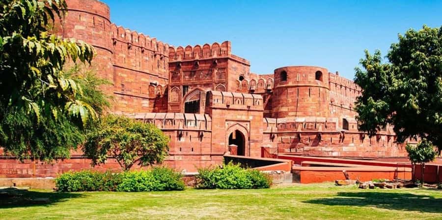 Taj Mahal Tour with Optional Wildlife Rescue Center Visit - Wildlife SOS rescue centres: choosing between elephants and sloth bears