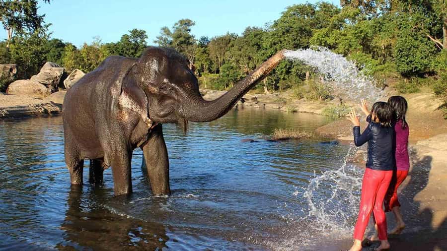 Taj Mahal Tour with Optional Wildlife Rescue Center Visit - Taj Mahal at first light: guided entry, best viewpoints, and what to watch for
